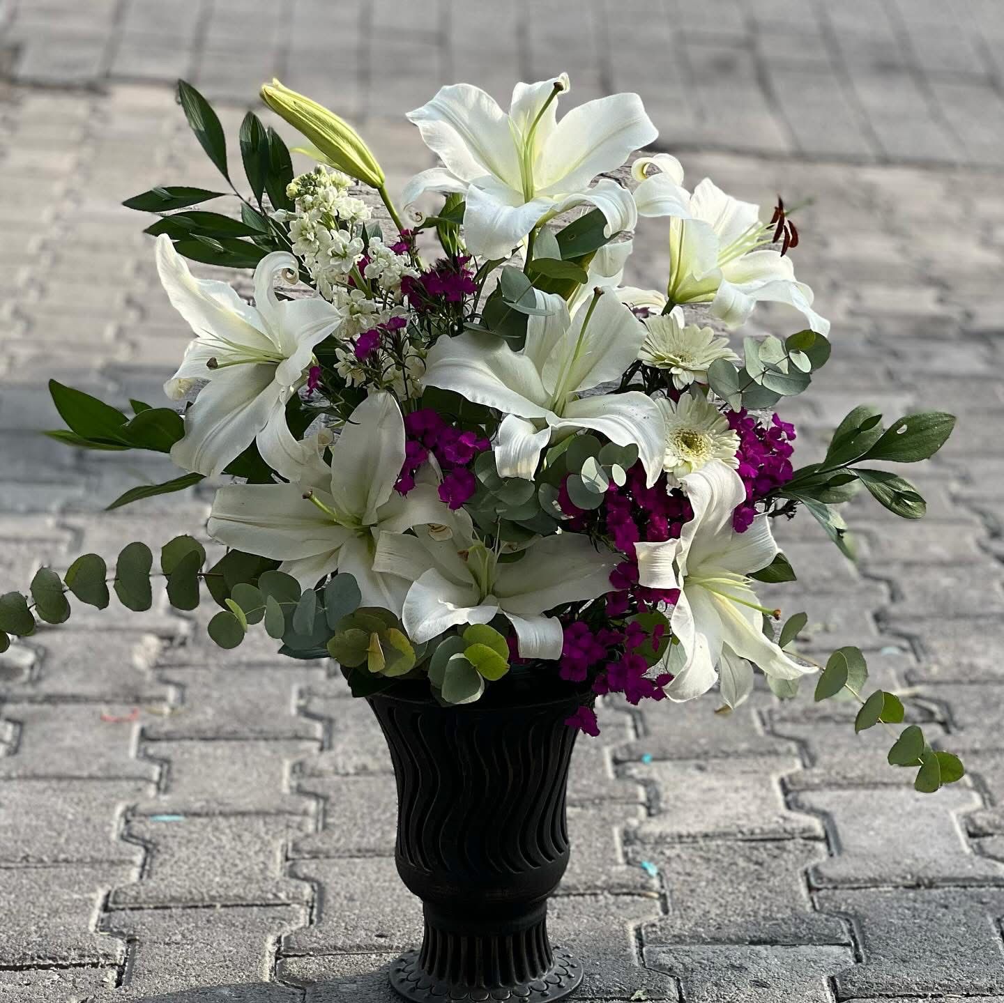 Kazabilanka Aranjman