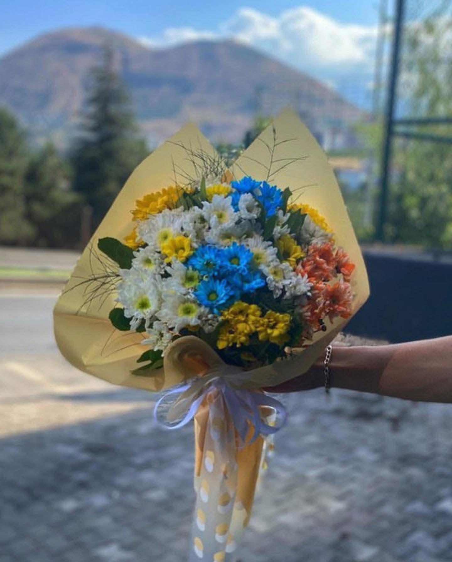 Karışık Papatya Buketi